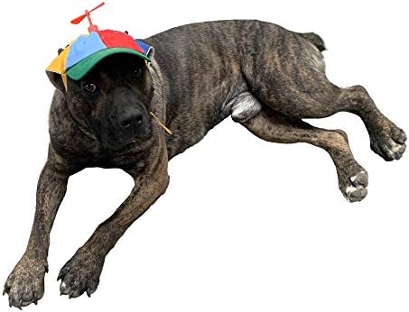 Komik Pervane, Boyut ve Halatlı GEANBAYE Köpek Şapkaları Küçük Orta ve Büyük Köpekler için Çift Ayarlı Evcil Hayvan Şapkaları