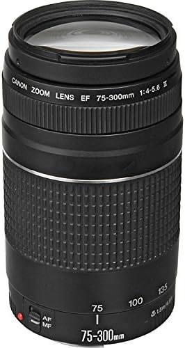 Canon EOS R5 ile RF24-105mm f / 4 ıs USM Lens aynasız fotoğraf makinesi Paketi + EF75-300 ıs III, EF-EOS R Montaj Adaptörü,