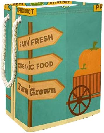 DJROW Çiftlik Organik gıda posteri Kabak Illüstrasyon Çamaşır Sepeti Kova Çocuk Odası ev düzenleyici Kreş Depolama Bebek Sepeti