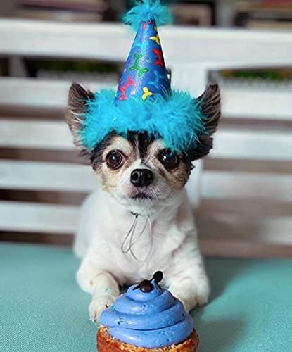 H & K Parti Şapkası / Köpekler ve Kediler için Doğum Günü Şapkası / Konfor ve İstikrar için Ayarlanabilir Kayış / Doğum Günü
