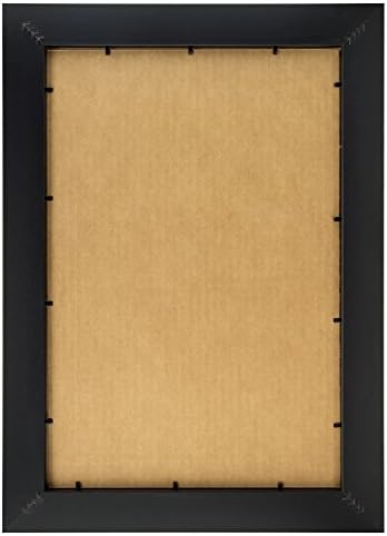 Craig Frames 21834700BK 12 x 18 inç Resim Çerçevesi, Pürüzsüz Kaplama, 2 inç Genişliğinde, Siyah