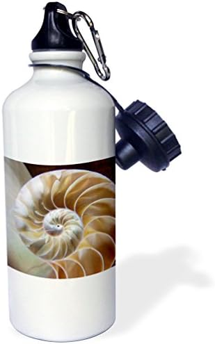 3dRose Nautilus Yakın Çekim Spor Su Şişesi, 21 oz, Beyaz