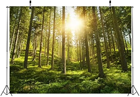 BELECO Kumaş 5x3ft Orman Orman Zemin Bahar Dağ Ağaçları Güneş Işığı Arka Plan Yeşil Otlak Duvar Kağıdı Açık Piknik Yürüyüş