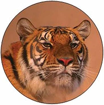 Sibirya Kaplanı Yüz Çıkartmaları-Hediye Çantası veya Zarf Mühürleri-Hayvan Temalı Kırtasiye Tasarımı - Parti İyilik Malzemeleri-24