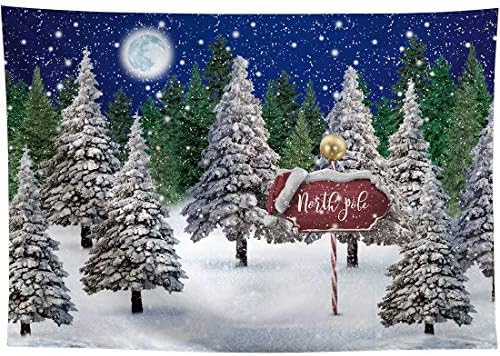 Allenjoy Kış Kar Yağışı Gece Manzara Orman Zemin Noel Wonderland Kuzey Kutbu Ay Kar Tanesi Kar Sahne Çam Çocuklar Yenidoğan