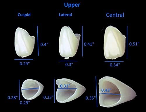 Ön ve Arka Azı Dişleri için Geçici Taç Kaplama Malzemesi 100 Adet