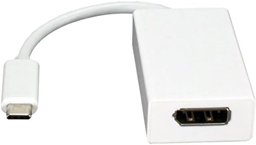 QVS USB-C/Thunderbolt 3-DİSPLAYPORT 4K / 60HZ Video Dönüştürücü