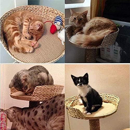 Haieshop Kedi Ağacı Tırmalama Kedi Kulesi Kedi Ağacı Kedi Kumu Kedi Villa Kedi tırmalama Mesajları Kedi Tırmanma Kulesi Kedi