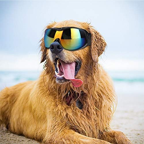 GLOGLOW Köpek Güneş Gözlüğü, Köpek Gözlük Açık Doggy Gözlük Doggie Gözlük Rüzgar Geçirmez Orta ve Büyük Köpek için(Siyah)